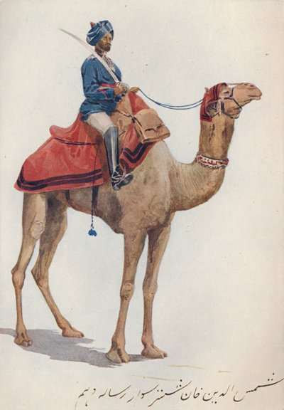 Um camelo-Sowar dos 10os lanceiros de Bengala, c1880 1905. de Alexander Henry Hallam Murray