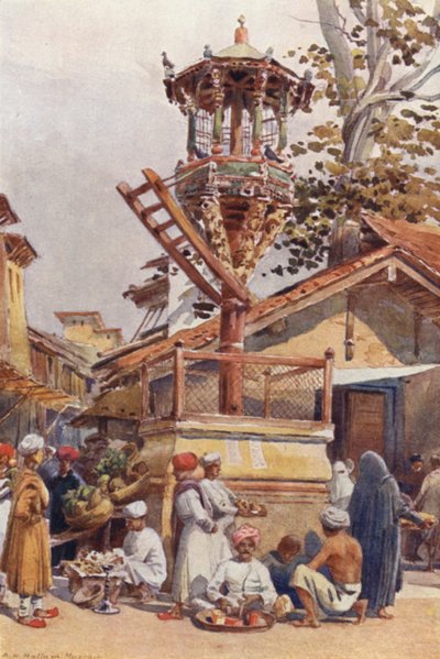 Um lugar de alimentação para pássaros, Ahmedabad de Alexander Henry Hallam Murray