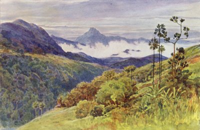 Brumas matinais no Vale do Gangha Mahawelli (cor litho) de Alexander Henry Hallam Murray