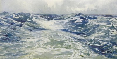 O despertar de um P e O de Alexander Henry Hallam Murray