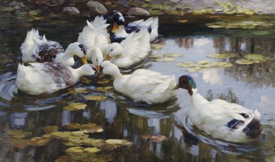 The Duck Pond de Alexander Koester