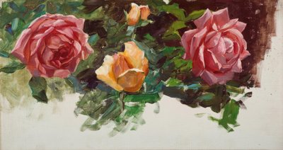 A.Koester, Rose Estudo de Alexander Köster