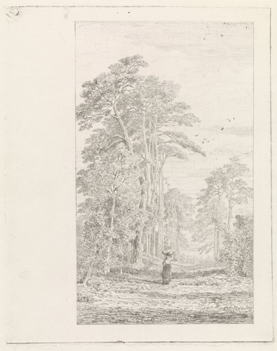 Dennenlaan de Alexander Mollinger