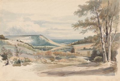 Boxhill de West Humble Lane de Alexander Monro