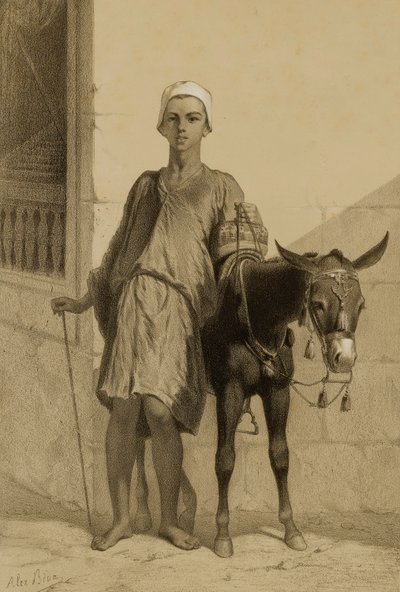 Um condutor de cus de Alexandre Bida