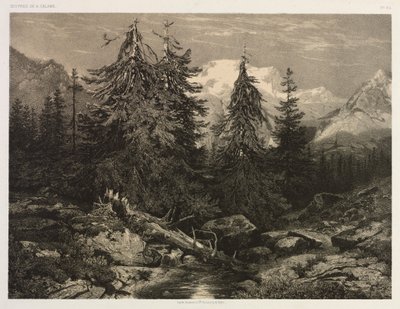 Córrego Alpino de Alexandre Calame
