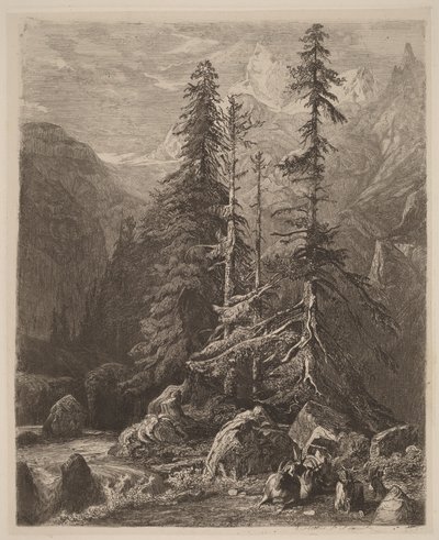 Ensaios de gravura a água-forte por Alexandre Calame, I, prancha 21 de Alexandre Calame