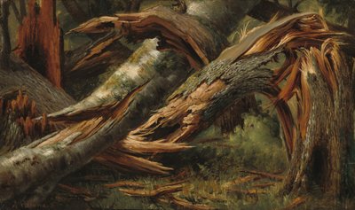 Árvore caída de Alexandre Calame