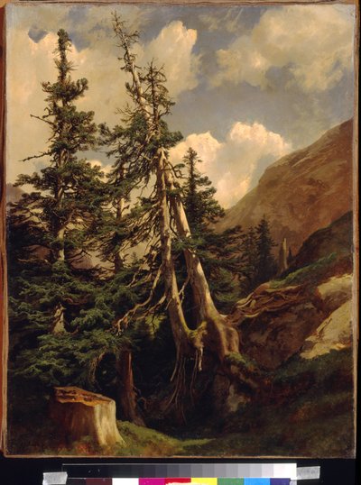 Firs in the mountains by Calame, Alexandre (1810-1864). Óleo sobre tela, Dimensão : 68,5x53. Museu de Belas Artes do Estado de A. Pushkin, Moscou de Alexandre Calame