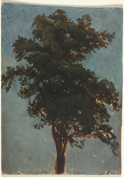 Estudo das Árvores, segundo terço dos anos 1800. de Alexandre Calame