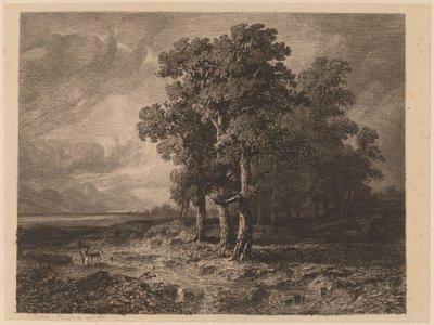 Árvores em uma tempestade de Alexandre Calame