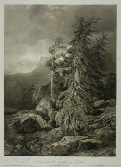 Sem título de Alexandre Calame