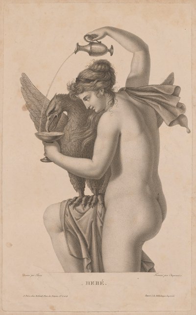 Sim de Alexandre Chaponnier