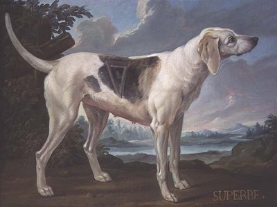 Retrato de um cão de caça 
