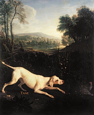 O cão de Louis XIV, Tane de Alexandre Francois Desportes