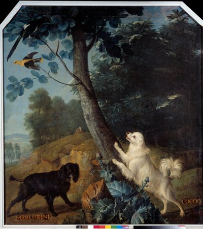 Merluzine e Cocoq, os cães de Luís XIV (1638-1715). Pintura de François Desportes (1661-1743) de Alexandre Francois Desportes