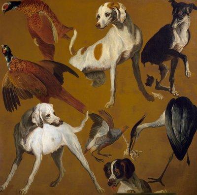 Estudo de aves e cães, por Alexandre-Francois Desportes (1661-1743), França de Alexandre Francois Desportes