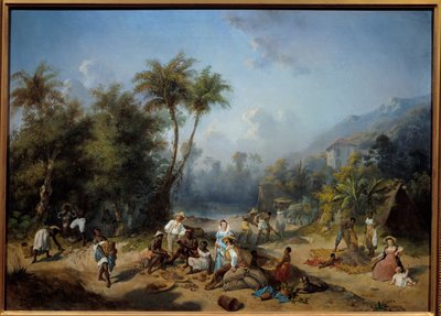 Uma plantação de cacau nas Índias Ocidentais Pintura de Alexandre Balance (1822-1893) Sol do século XIX. 0,5x0,7 m La Rochelle, Musee du Nouveau Monde - Uma plantação de cacau nas Índias Ocidentais. Pintura de Alexandre Balança (1822-1893) de Alexandre Solde