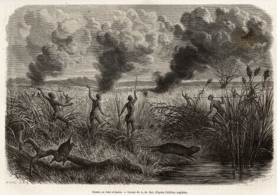 A tribo bongo caça o rato dos canaviais (para os naturalistas: aulacode), sitot avista o local onde vivem os roedores, o fogo é posto a secar a erva à volta da sua cabana, até que as beterrabas, obrigadas a fugir, vêm apresentar-se aos caçadores, gravando  de Alexandre de (after) Bar