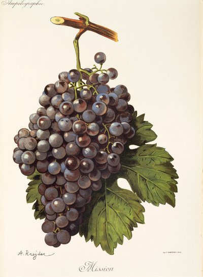 Uva missão por A. Kreyder de Alexis Kreyder