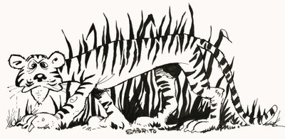 Descobrir factos: Porque é que os tigres têm riscas de Alf Saporito
