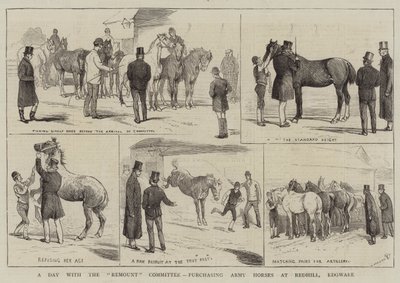 Um dia com o Comitê de Remontagem, comprando cavalos do Exército em Redhill, Edgware de Alfred Chantrey Corbould