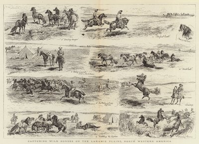 Capturando Cavalos Selvagens nas Planícies de Laramie, North Western America de Alfred Chantrey Corbould