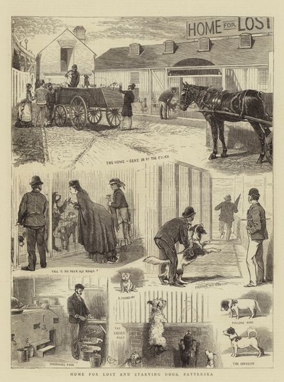 Casa para cães perdidos e famintos, Battersea de Alfred Chantrey Corbould