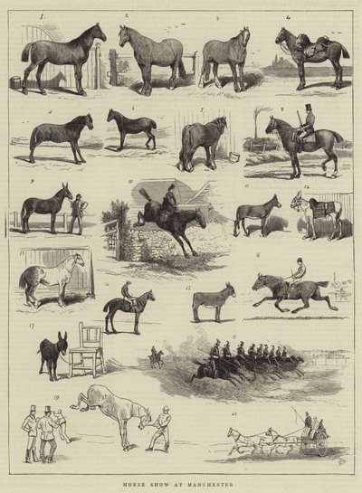 Horse Show em Manchester de Alfred Chantrey Corbould