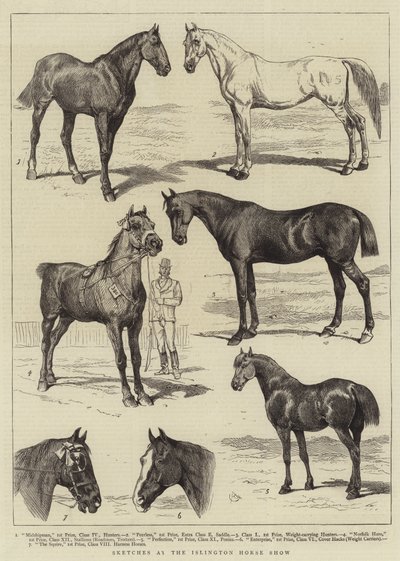 Esboços no Islington Horse Show de Alfred Chantrey Corbould