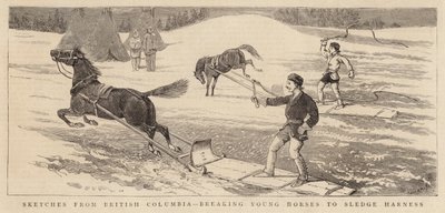 Esboços da Colúmbia Britânica, quebrando os Young Horses para Sledge Harness de Alfred Chantrey Corbould