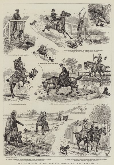 As aventuras de dois cavalos fugitivos e o que veio dele de Alfred Chantrey Corbould