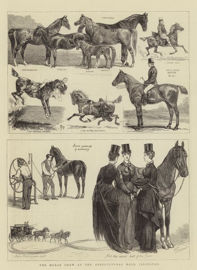 O Horse Show no Salão Agrícola, Islington de Alfred Chantrey Corbould