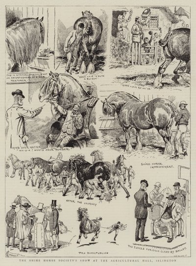 Show da Shire Horse Society no Salão Agrícola, Islington de Alfred Chantrey Corbould