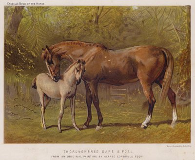 Égua e potro puro-sangue (cor litho) de Alfred Chantrey Corbould