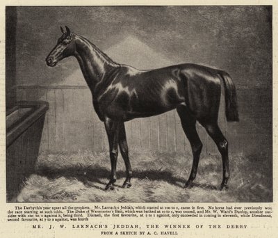 Sr. JW Larnachs Jeddah, o vencedor do Derby de Alfred Charles Havell