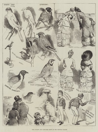 O Show Canário e Gaiola-Pássaro no Palácio de Cristal de Alfred Courbould