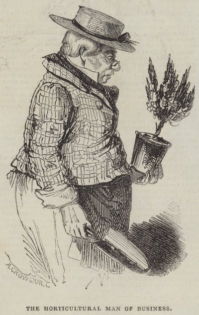 O homem de negócios hortícola de Alfred Crowquill
