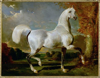 Etalon Arabe - Puro-sangue árabe ... de Alfred Dedreux or de Dreux