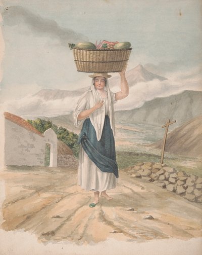 Fêmea do Porto de Orotava de Alfred Diston