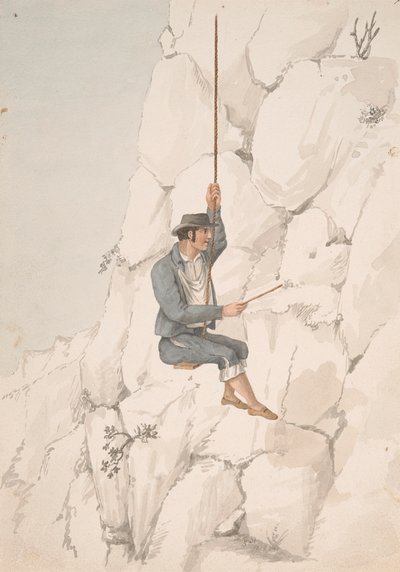 Gomero, Orchilla Gatherer de Alfred Diston