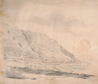 Realejo de arriba, Tenerife de Alfred Diston