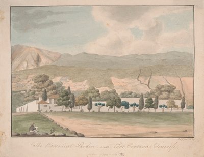 O Jardim Botânico perto de Port Orotava, Tenerife de Alfred Diston