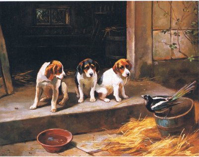 O convidado não convidado, de revista ou livro de fonte desconhecida (cor litho) de Alfred Duke