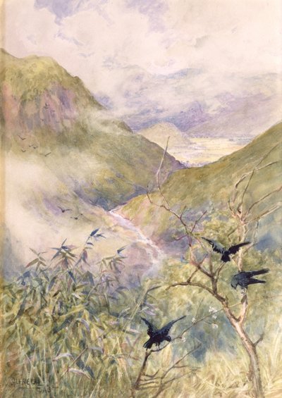 Olhando para os lírios: O vale de Nikko olhando para o leste Para a província de Shimo-no-Tsuke, c.1889 (wc no papel) de Alfred East