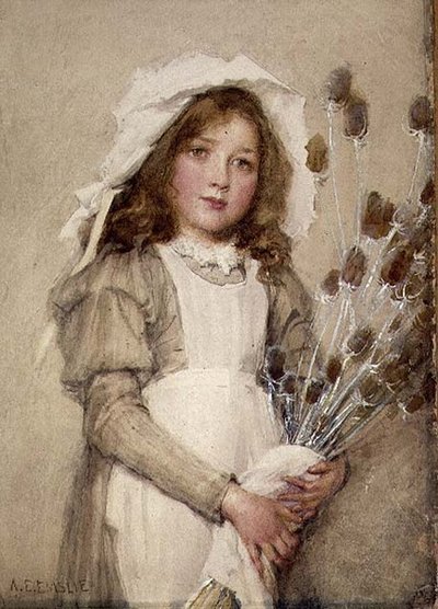 Um monte de teasels (wc) de Alfred Edward Emslie