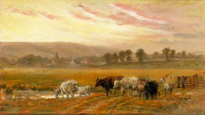 Pôr do sol perto de Amberley (óleo sobre tela) de Alfred Fitzwalter Grace
