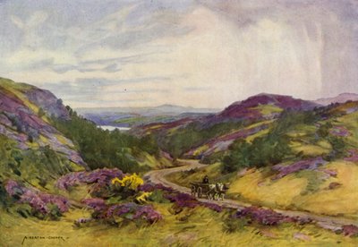 Dinamarca: Raebild Hills, perto de Aalborg (lito a cores) de Alfred Heaton Cooper