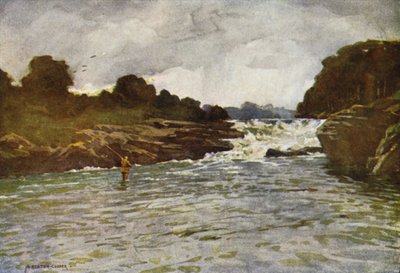 Kathleens Falls, Ballyshannon de Alfred Heaton Cooper