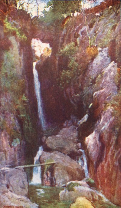 Região dos Lagos: Dungeon Ghyll Force, Langdale (litografia a cores) de Alfred Heaton Cooper